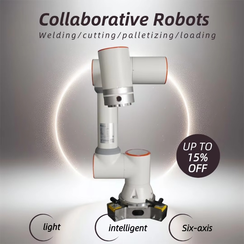 Flexibler 6-Achsen-Cobot-Robot – Robot Arm Metal Bewertung und Preis